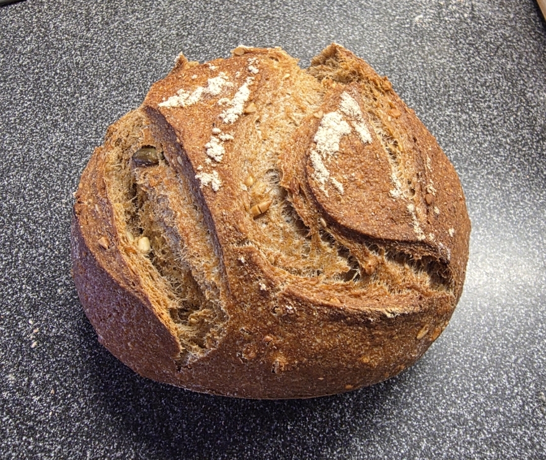 Screenshot_20260117_113729_Gallery